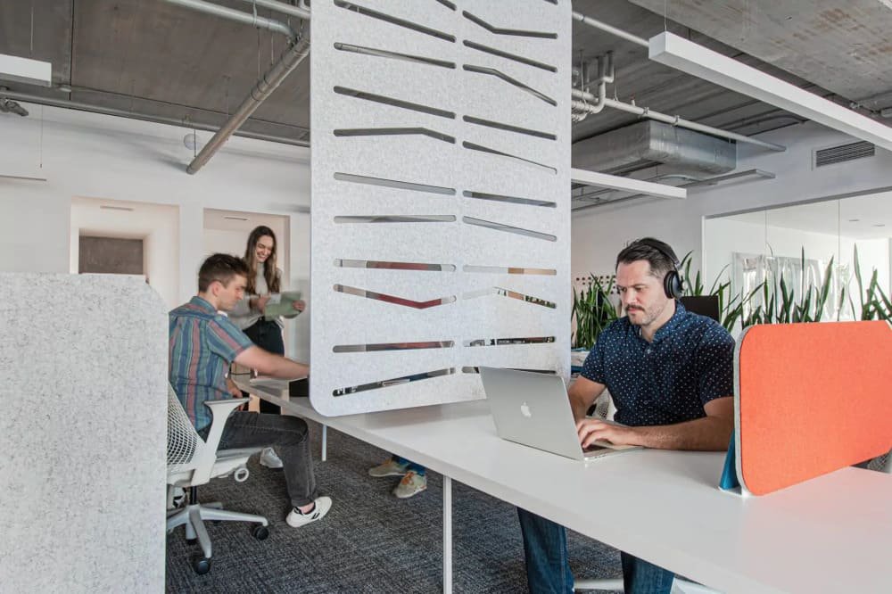 A modern open-office with three people working at desks, featuring plants and a partition
