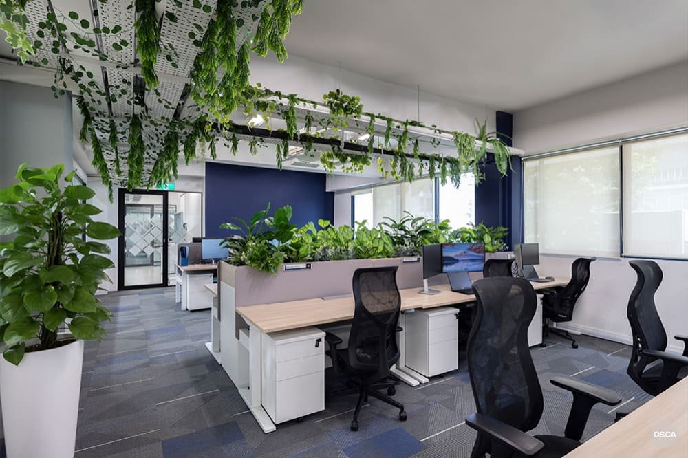 Modern office with desks, black chairs, and hanging plants